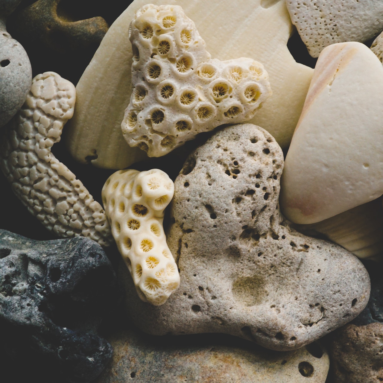 pexels-tina-nord-804094UP